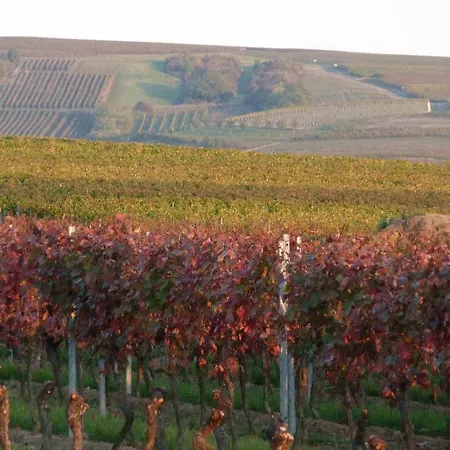 Weingut Kost Διαμέρισμα *