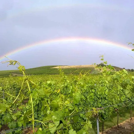 Weingut Kost * Horrweiler