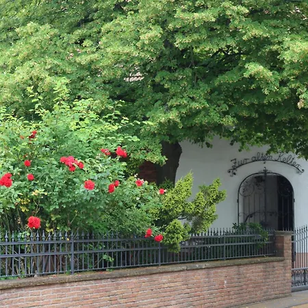 Weingut Kost Apartment *