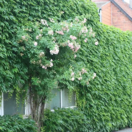 Διαμέρισμα Weingut Kost Horrweiler