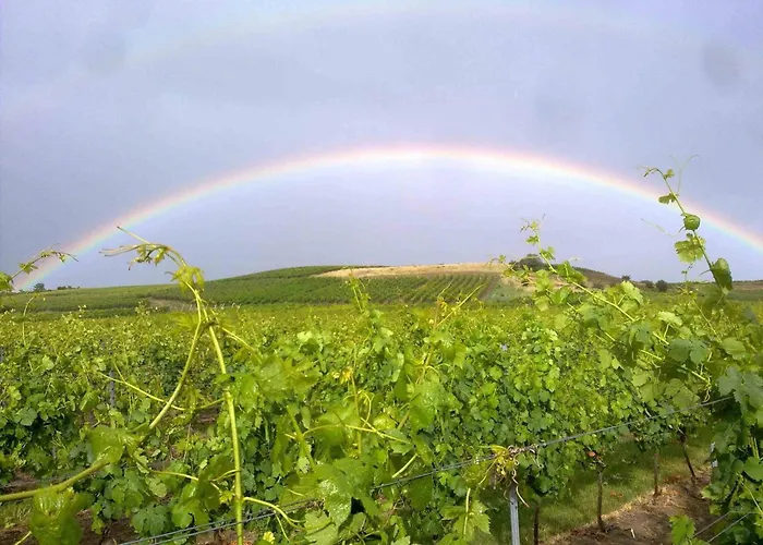 Weingut Kost * Horrweiler