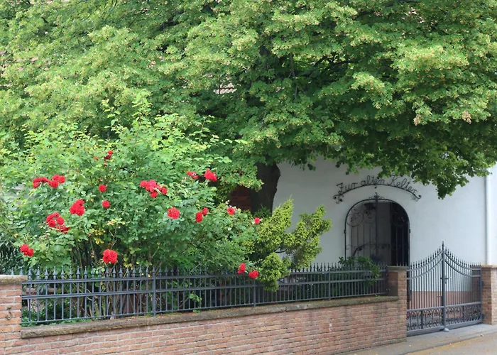 Weingut Kost Apartament *