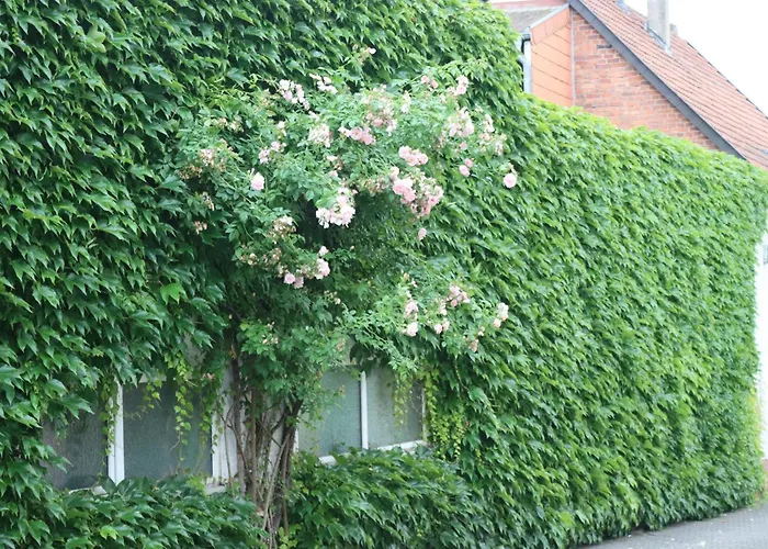 Apartament Weingut Kost Horrweiler